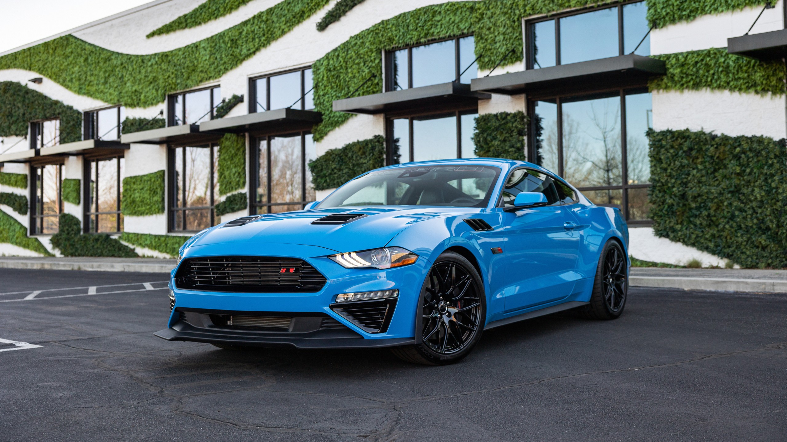 Premium Car Rental